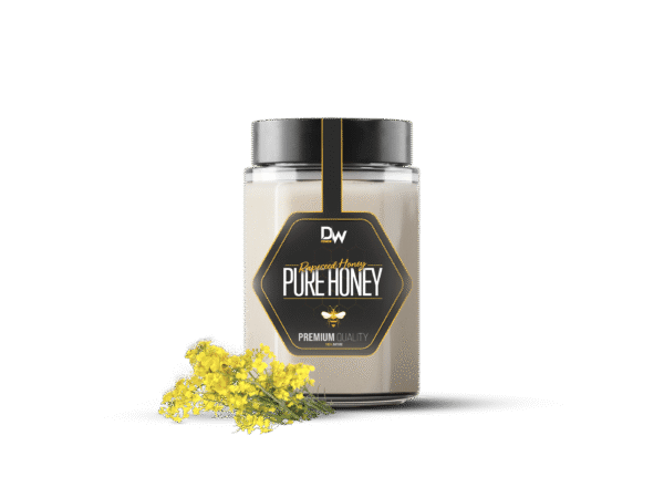 RAPESEED HONEY
