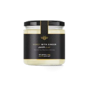 Honey with Ginger 250g by DW Power – premium natural honey blend from Harz Mountains, Germany