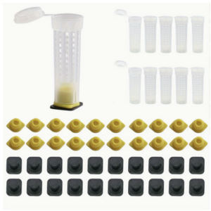Queen Rearing Kit with Cages & Cell Cups