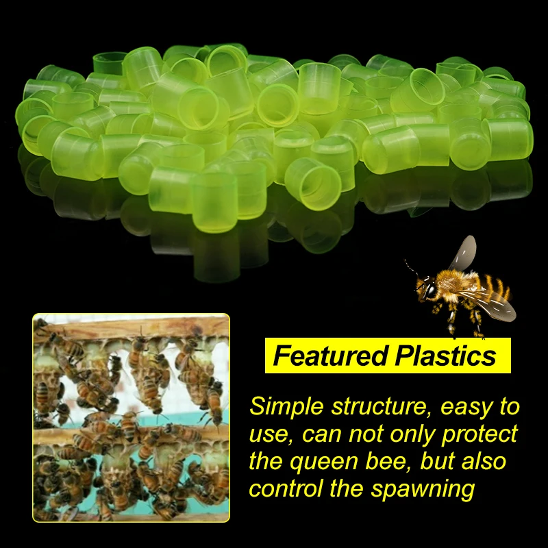 Queen Rearing Kit with Cages & Cell Cups - Image 3