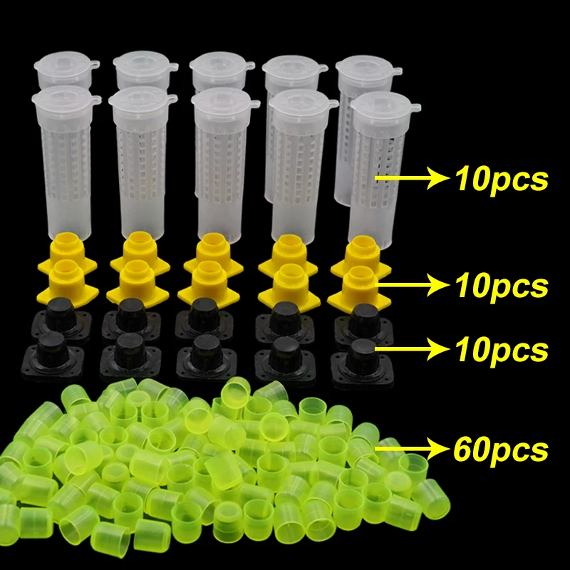 Queen Rearing Kit with Cages & Cell Cups - Image 2