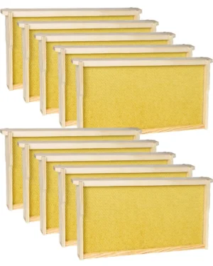 10 Pack Bee Frames Deep - Bee Hive Frames and Wax Foundations Yellow Beehive Frams